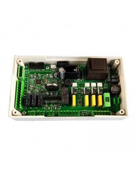 PLACA ELECTRONICA DUEPI V8