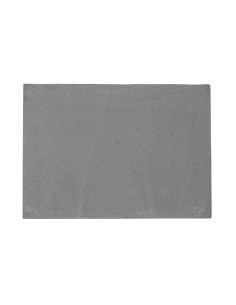 PLACA TRASERA DE FUNDICION PARA CASSETTE DE LEÑA