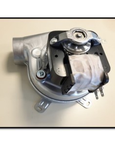 VENT.EVAGOLD30CO001-W925300030R1035920