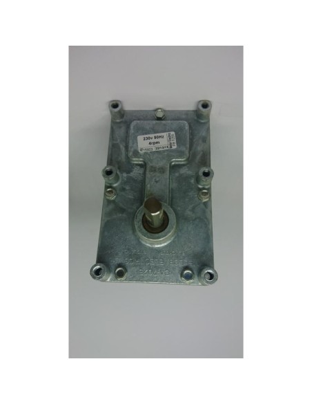 MOTOR SIN FIN 4RPM 951007800