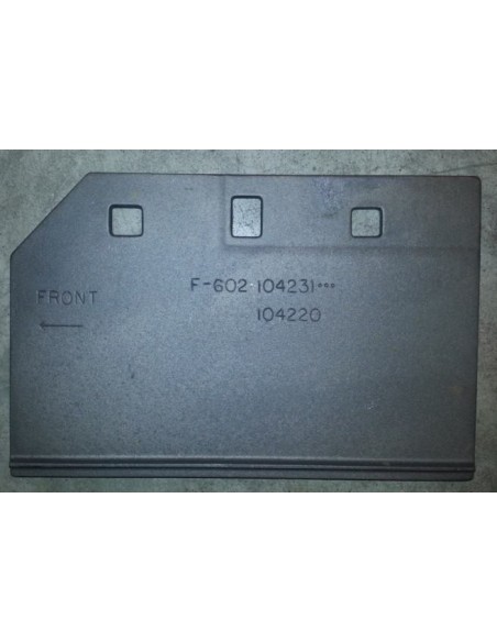 PLACA DESGASTE F602 N [10422012] 12018532